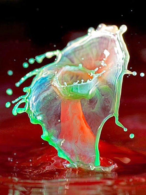 Water droplets.