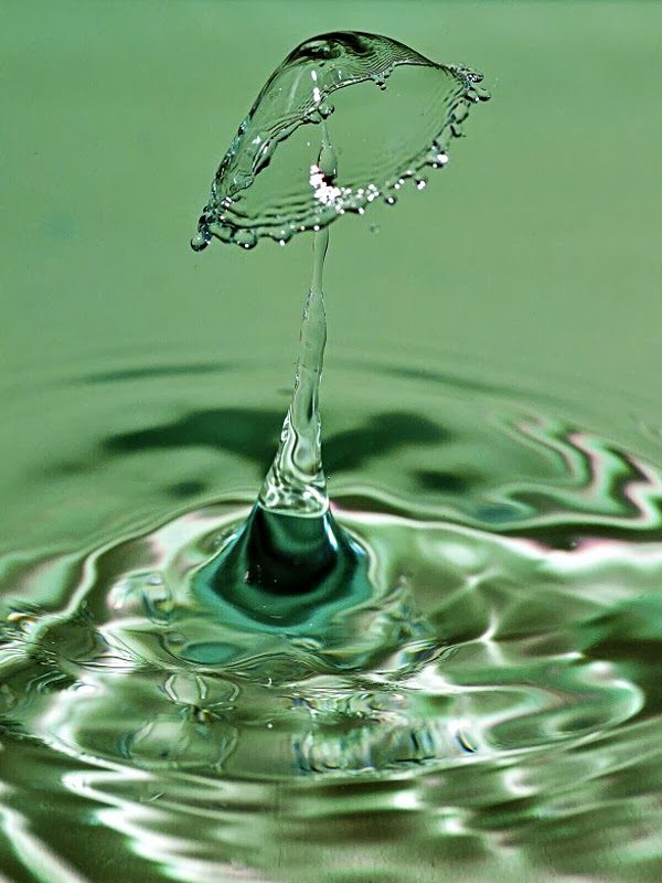 Water droplets.