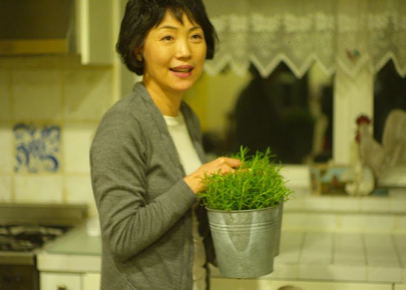 Meet Mrs. Yang… She is the matriarch of the Yun Family. The other day, Mrs. Yang, a very warm person, was gracious enough to invite us and our dinner guests over for some quince tea.