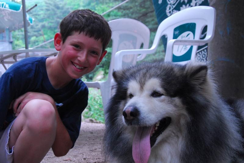 We were told that this dog was part wolf…I think Lassie was sneaking off for a secret rendezvous when the camera was not rolling.