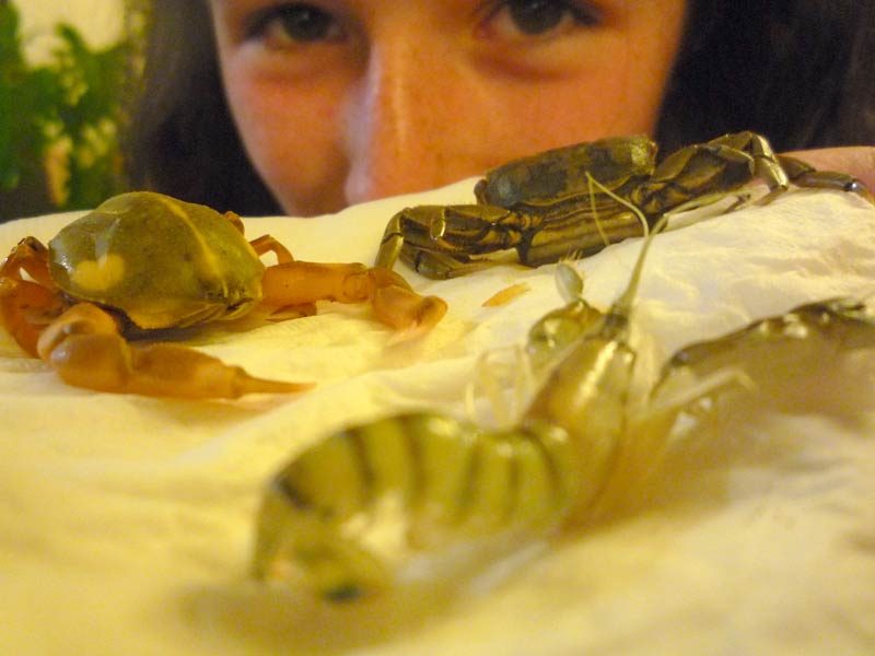 Some of us were ready to munch… A bit too ready, by the look on Alex’s face. She actually made me a little nervous with her glee over crunching the little critters. Geez…