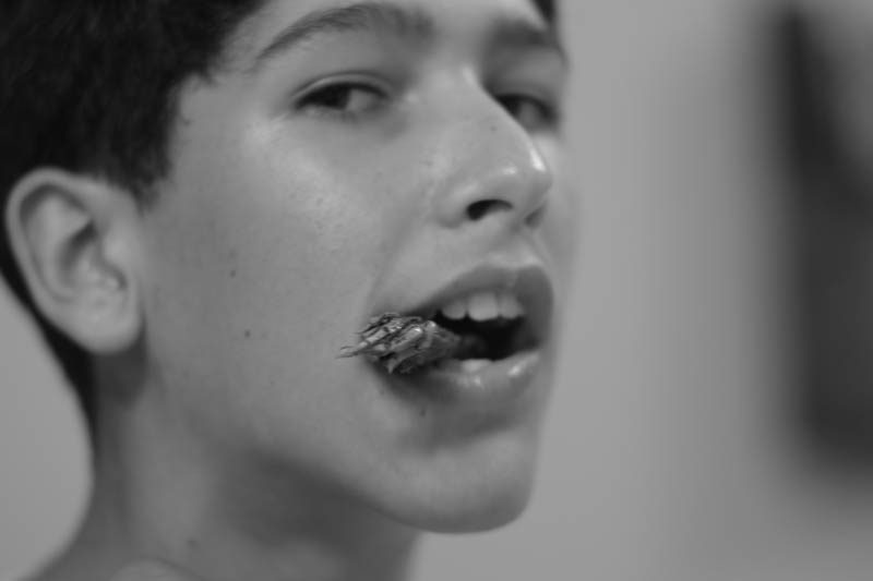 Austin posed for this, but would no chew. Adam… forget about it. I can barely get him to eat regular food. Adam started yelling when he heard Alex crunching the first one.