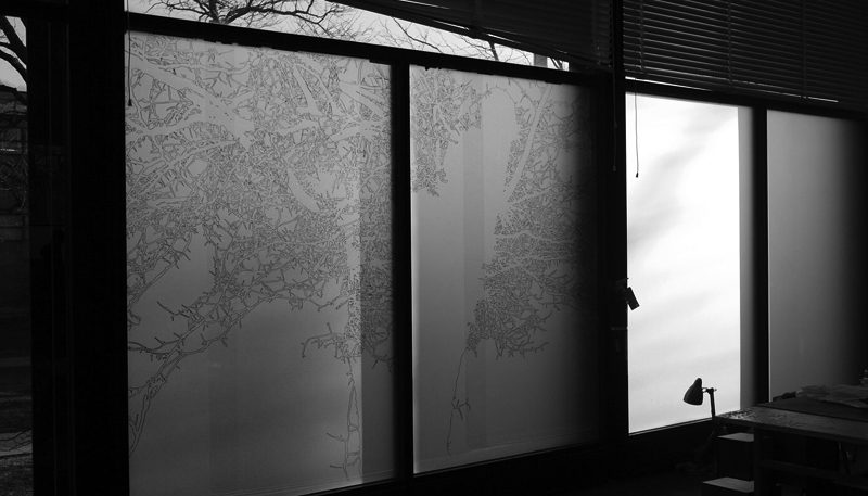 Amanda Wills: Night tree tracing on acetate…